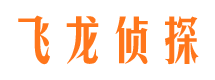 荔波侦探